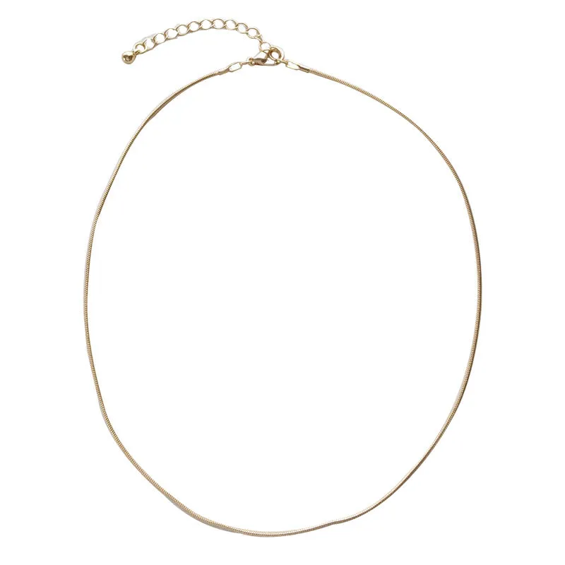 Wholesale   glossy snake chain necklace trendy thin necklace  niche clavicle chain